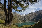 12- Sotto il pino del rifugio, vista sul lago